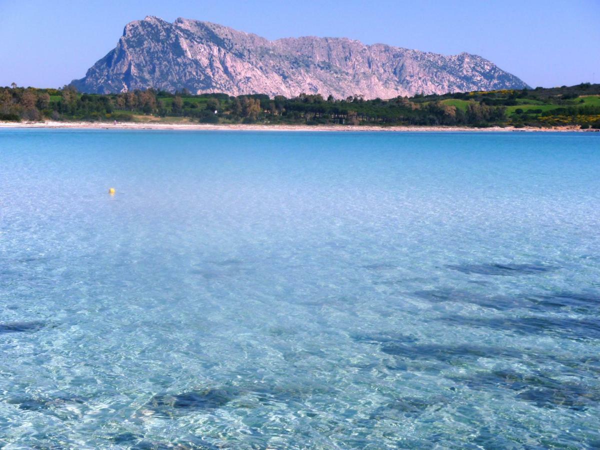 In Fronte Mare * Murta Maria